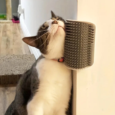 PurrEase Duo Cat Grooming Set
